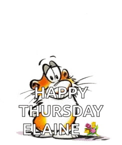 Hello Bright And Beautiful Thursday GIF