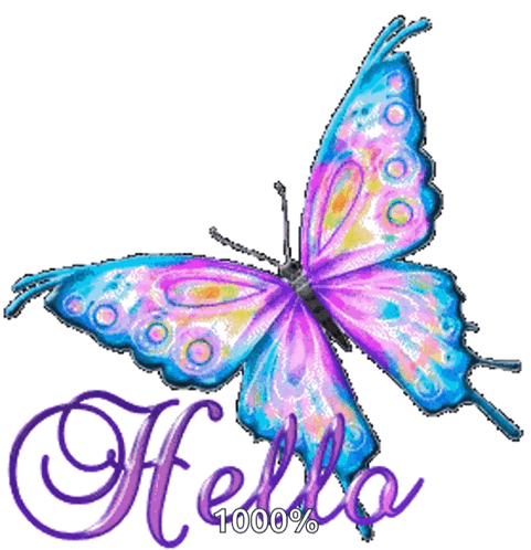 Hello Butterfly Gif GIF