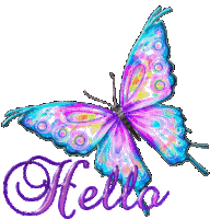 Hello Butterfly Sticker GIF