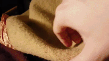 Hello Cat Sleeping In Bed GIF