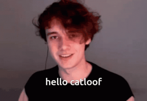 Hello Catloof Wilbur Soot GIF