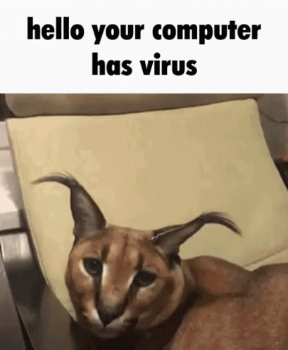 Hello Computer Virus Big Floppa GIF