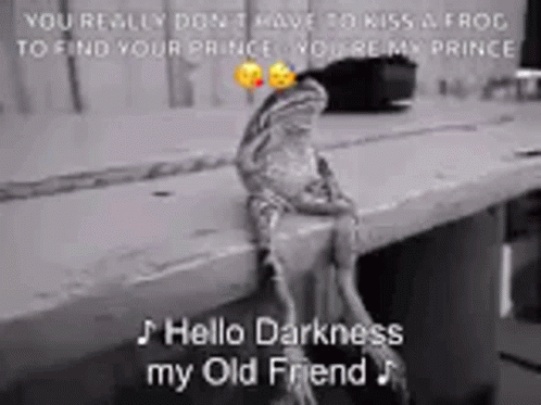Hello Darkness My Old Friend Frog Sitting GIF