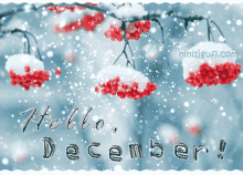 Hello December Blizzard Falling Background GIF