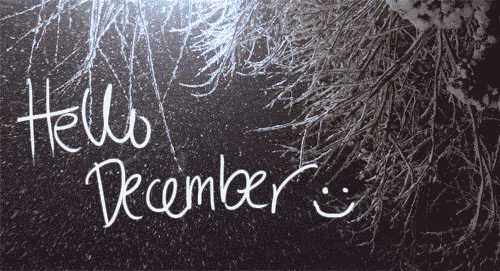 Hello December Snowfall On Tree Background GIF