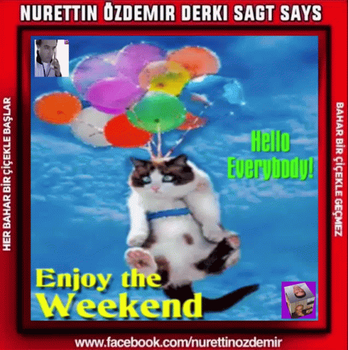 Hello Everybody Enjoy Your Weekend GIF