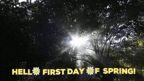 Hello First Day Of Spring GIF