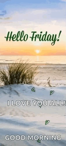 Hello Friday I Love You All Good Morning Beach Card