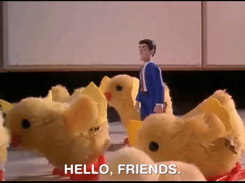 Hello Friends Man Doll With Toy Chicks GIF