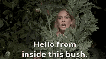 Hello From The Other Side This Bush GIF