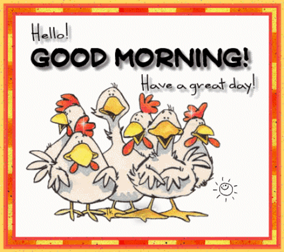 Hello Good Morning Have A Great Day Chickens GIF | GIFDB.com