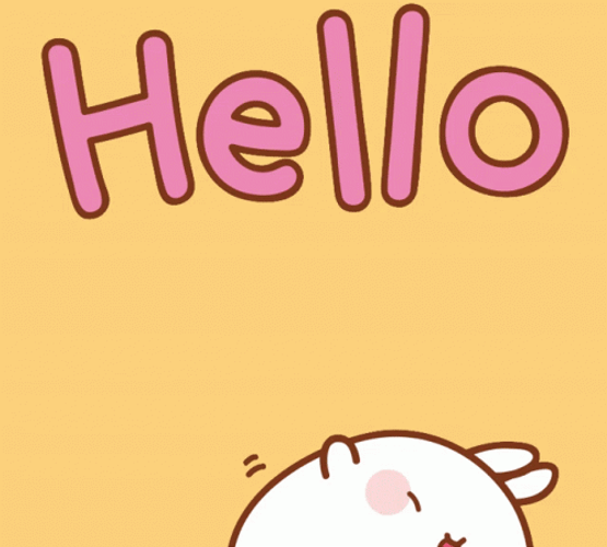 Hello Happy Bunny GIF