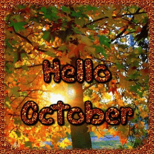 Happy October GIFs GIFDB