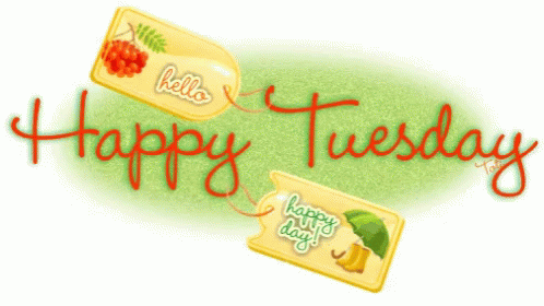 Hello Happy Thankful Tuesday GIF