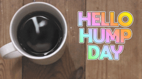 Hello Hump Day Coffee Cup GIF
