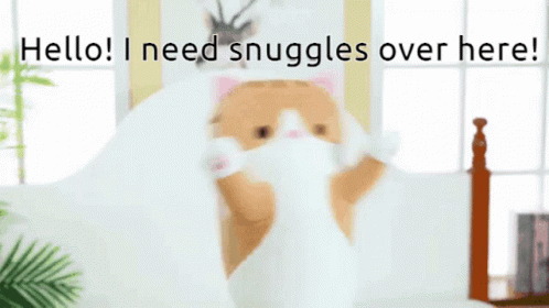 Hello I Need Snuggles Over Here GIF