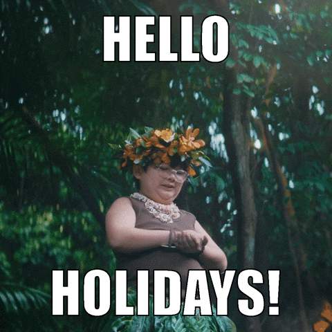 Hello It's Pto Holiday GIF