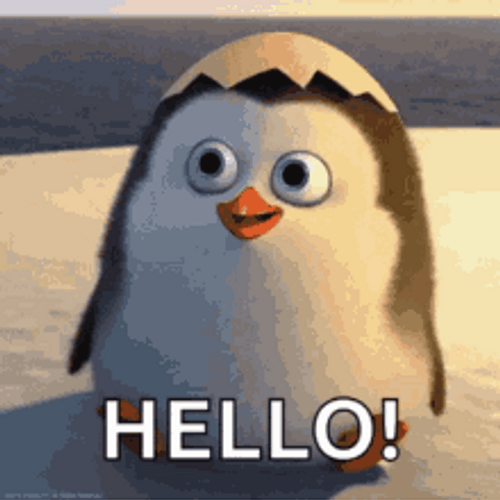 Hello Madagascar Penguin GIF