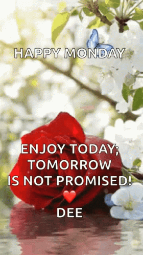 Hello Monday Message GIF