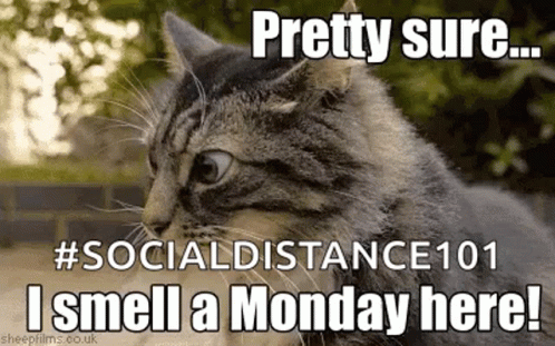 Hello Monday Social Distance GIF