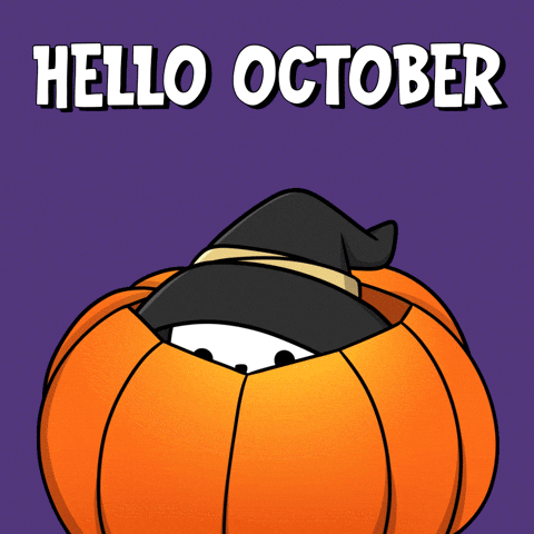 Hello October Peeking White Kitty GIF