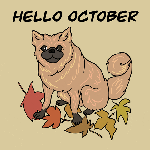 Hello October Winking Cartoon Dog GIF