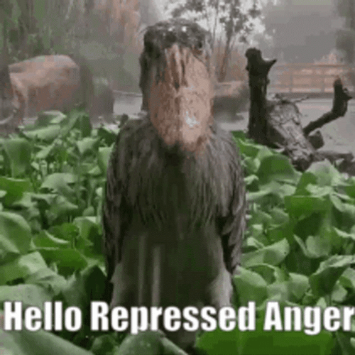Hello Repressed Anger GIF