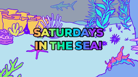 Hello Saturday In The Sea GIF