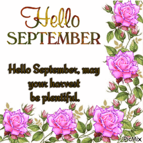 Hello September Card With Pink Roses GIF