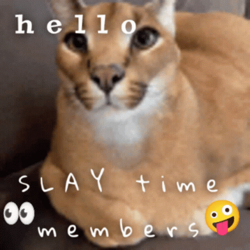 Hello Slay Time Members GIF