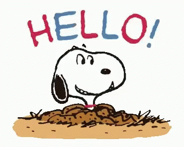 Hello Snoopy Saturday GIF