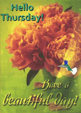 Hello Thursday Card With Flowers And Bird GIF