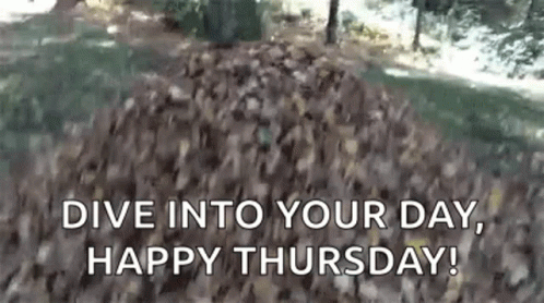 Hello Thursday Dive Into Your Day GIF