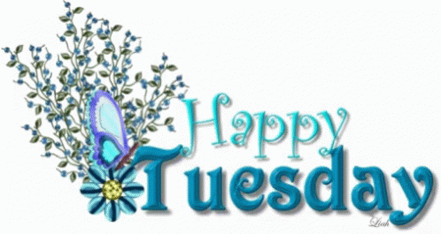 Hello Tuesday Greeting Card
