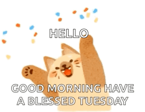 Hello Tuesday Happy Giggly Cartoon Cat GIF
