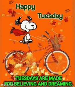Hello Tuesday Snoopy Ride Bike GIF