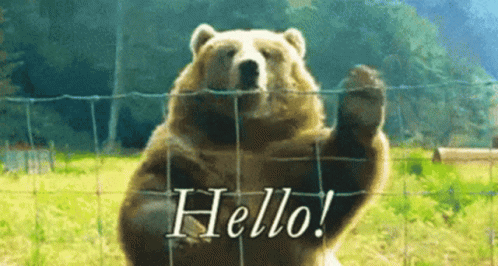 Hello Wave From Friendly Giant Bear GIF