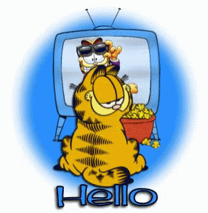 Hello Wednesday 498 GIF