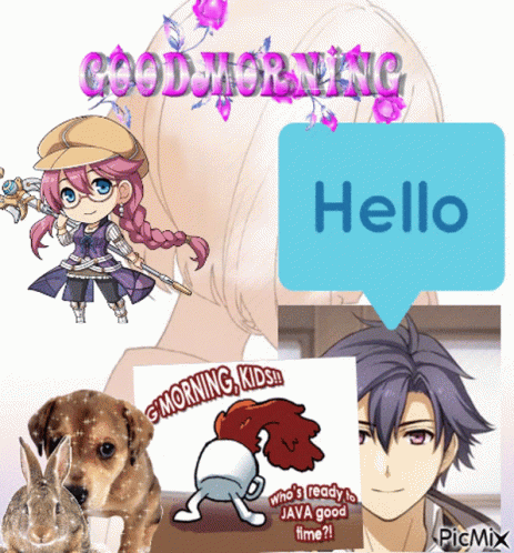 Hello Wednesday Picture Collage GIF