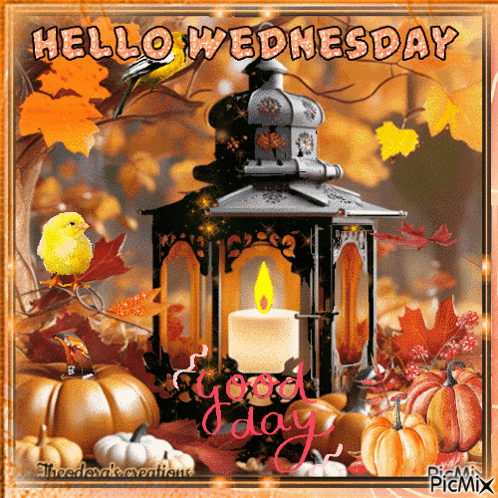 Hello Wednesday Pumpkin Season GIF
