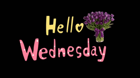 Hello Wednesday Violet Flower Bouquet GIF
