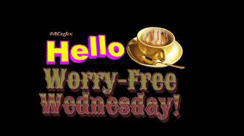 Hello Wednesday Worry Free GIF