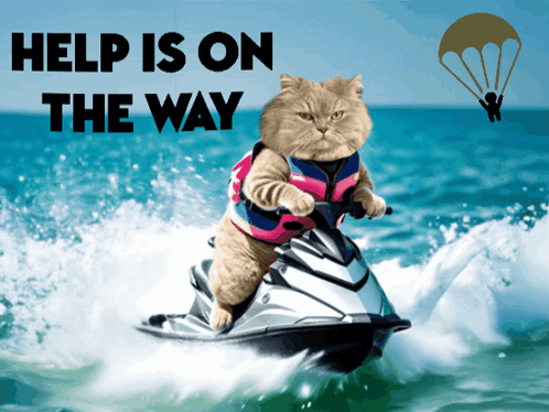 Help Is On The Way Dear Jetski Cat GIF