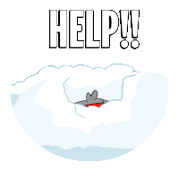 Help Penguin Sticker GIF