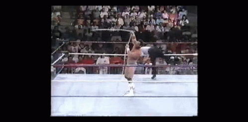 Hercules Hercules Body Builder Jobber GIF