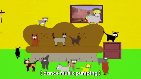 Herding Cats South Park Animated Sitcom GIF