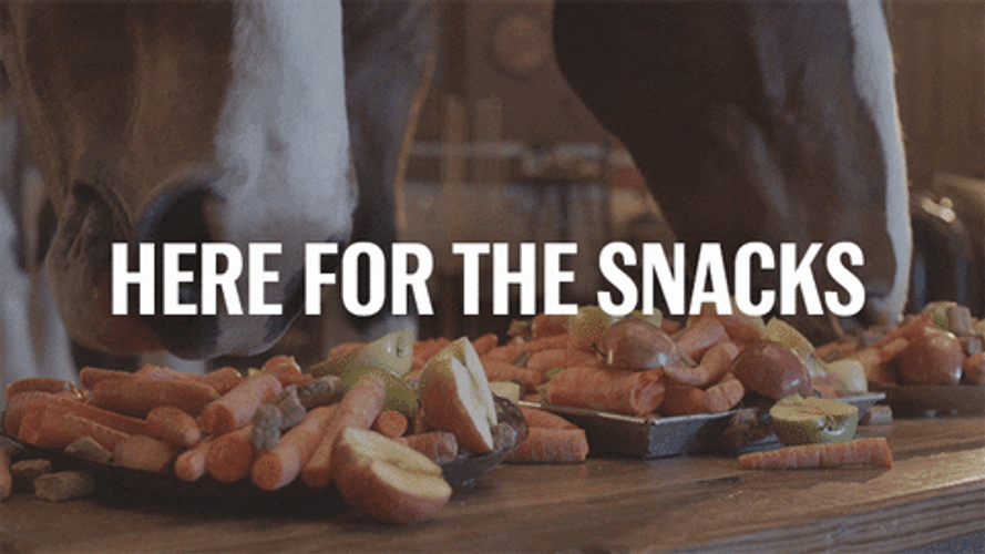 Here For The Snacks Horse Eating GIF