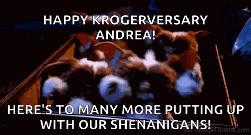 Here's To Many Putting Up With Our Shenanigans GIF