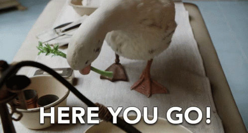 Here You Go Adorable Duck Giving Gift GIF