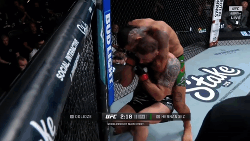 Hernandez vs Dolozize UFC Fight on Screen